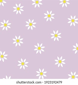 Daisy, chamomile flowers seamless pattern. Floral texture. Vector illustration.