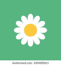 Daisy chamomile icon in flat style. Flower vector illustration on isolated background. Floral sign business concept.