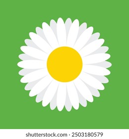 Daisy chamomile icon isolated on a green background vector illustration.White camomile. Cute round flower head plant. Love card symbol. Growing concept. Flat design. Cute floral design for print, web.