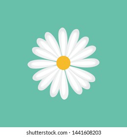 daisy chamomile icon vector design illustration