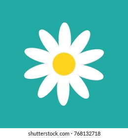 Daisy Chamomile Isolated On White Background. Vector Illustration. Eps 10.