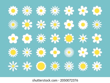 Daisy chamomile linear icons. Colored set vector thin line illustration. Blooming flower petals yellow and white