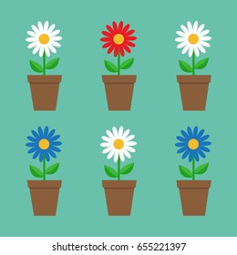 Daisy chamomile in pot. Cute flower plant collection. Love card. White red blue camomile icon set Growing concept. Flat design. Green background. Isolated. Vector illustration
