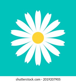 Daisy Chamomile round icon. White flower. Camomile petal. Cute plant collection. Growing concept. Love card. Happy Valentines Day decoration. Flat design. Green background Isolated Vector illustration