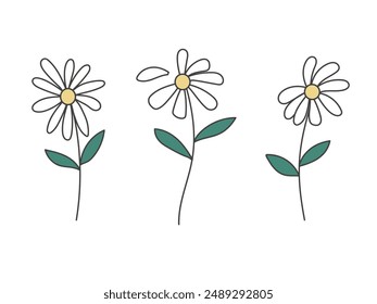 Juego de manzanilla Daisy. Ilustración vectorial de planta de flor linda
