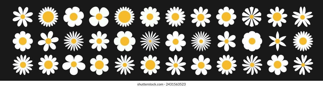 Daisy chamomile super big set. White camomile icon. Growing concept. Cute round flower plant. Love card. 36 sign symbol shape. Graphic sign symbol. Flat design. Isolated. Black background. Vector