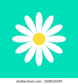 Daisy Chamomile Vector Icon Isolated