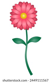 Daisy. Color vector illustration. Isolated white background. Flat style. Summer flower with stem and leaves. A perennial plant from the Asteraceae family. Idea for web design.