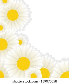 Daisy corner design with copy space