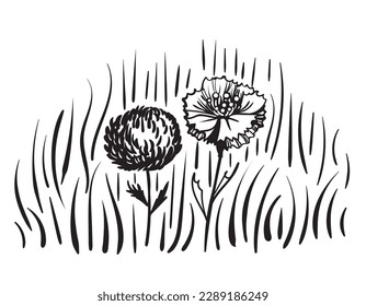 Daisy and cornflower among the grass
