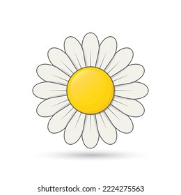 Daisy Cute Flower, simple shadow, daisy vector, flower sign.