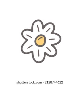 Daisy in doodle style. Vector isolated illustration.