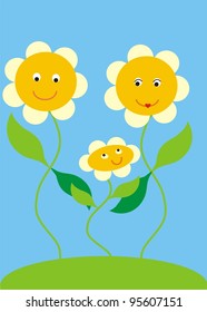 daisy family
