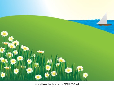 Daisy field by lake, vector