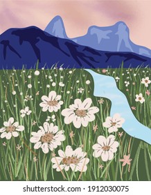 daisy field in front of mountain 