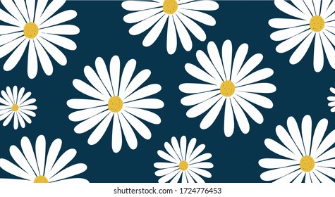 Daisy floral on green background, floral background concept, vector.
