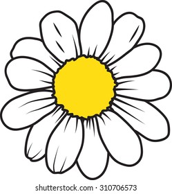 Daisy flower