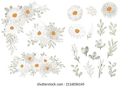 daisy flower arrangement and flower leaves isolated clip art