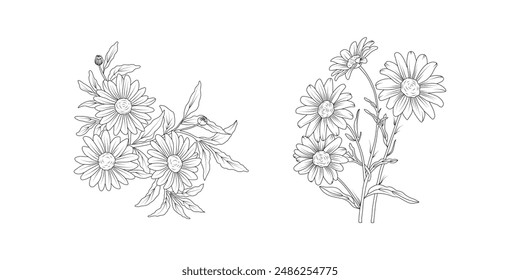 Daisy flower arrangement line art on white background. Silhouette botanical hand drawn element for wedding, invitation frame design, vector illustration