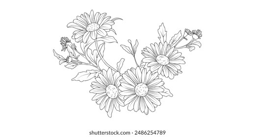 Daisy flower arrangement line art on white background. Silhouette botanical hand drawn element for wedding, invitation frame design, vector illustration