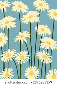 Daisy flower background.Eps 10 vector.