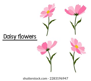 Daisy flower background.Eps 10 vector.