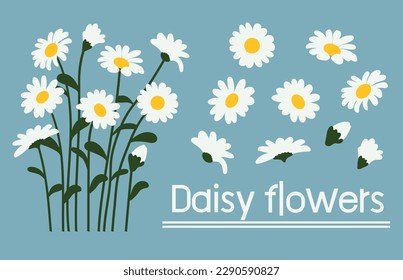 Daisy flower background.Eps 10 vector.