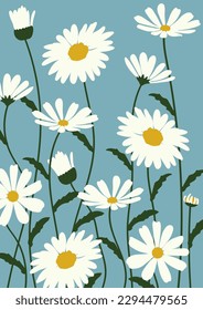 Daisy flower background.Eps 10 vector.