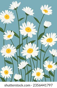 Daisy flower background.Eps 10 vector