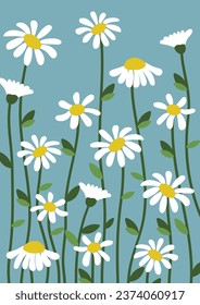 Daisy flower background.Eps 10 vector.