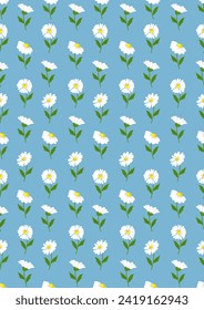 Daisy flower background.Eps 10 vector.