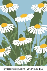 Daisy flower background.Eps 10 vector.