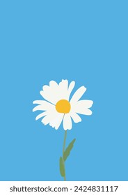 Daisy flower background.Eps 10 vector.