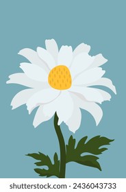Daisy flower background.Eps 10 vector
