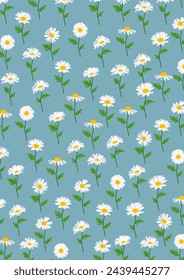 Daisy flower background.Eps 10 vector.