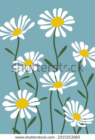 Daisy flower background.Eps 10 vector.