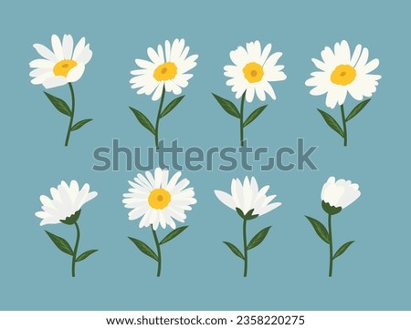 Daisy flower background.Eps 10 vector