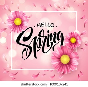 Daisy Flower Background and Hello Spring Lettering. Vector Illustration