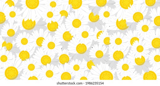 daisy flower background, vector eps