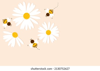 Daisy flower and bee cartoons on pastel background vector illustration.