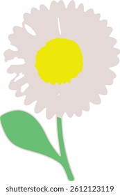 Daisy Flower (Bellis Perennis) Flower Vector Illustration Hand Drawn Botanical Spring Floral Art in Flat Minimalist Style