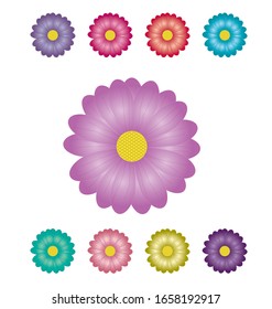 Daisy flower blossom 9 color variations