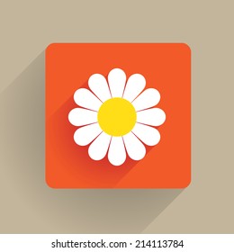 Daisy flower blossom in flat design