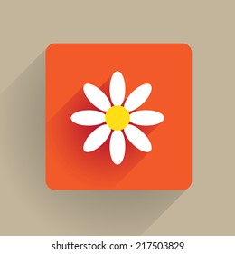 Daisy flower blossom in flat design
