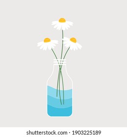 Daisy flower in a bottle vector illustration.