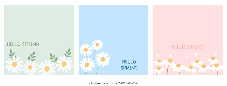 Daisy flower and branches on green, blue and pink backgrounds vector. 