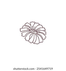 Daisy flower brown contour hand drawn icon. Blossom beautiful plant, floral design single element. Vector outline illustration isolated on white. Garden romantic nature decoration doodle style