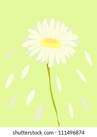 Daisy flower card