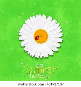 Daisy flower. Chamomile. Best Summer holidays. Vector Illustration