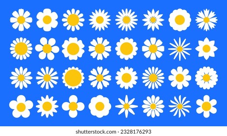 Daisy flower. Chamomile flat icon, cartoon white spring flowers. Botanical summer elements, natural bloom petal. Floral design vector set. Buds of different size isolated collection on blue